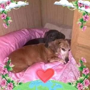 Meet your Posher, Beverly